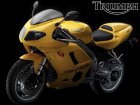 Triumph Daytona 955i